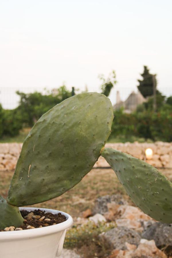 Enjoytrulli - Countryside Villa Noci Eksteriør billede