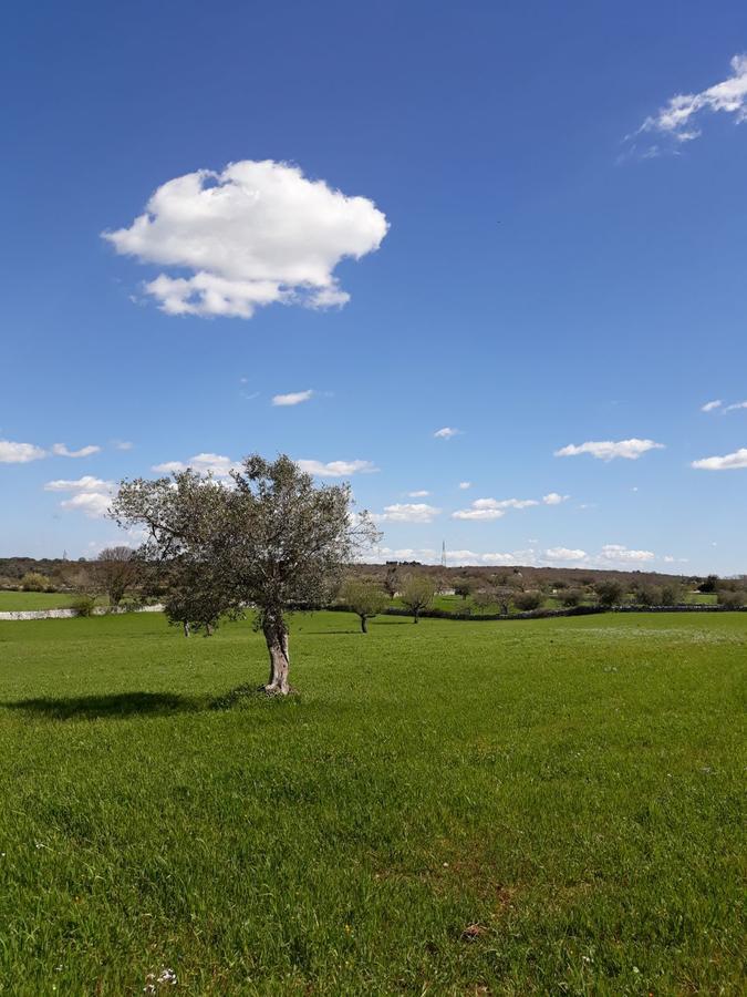 Enjoytrulli - Countryside Villa Noci Eksteriør billede